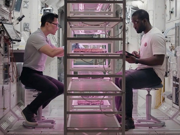 Дальний космос (2)