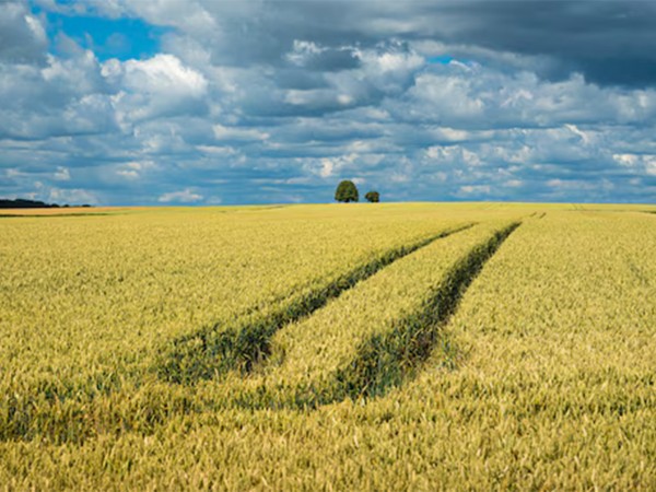 Агробудущее