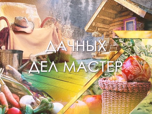 Дачных дел мастер