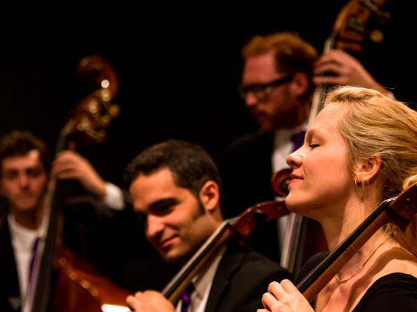 Камерный оркестр фестиваля Вербье