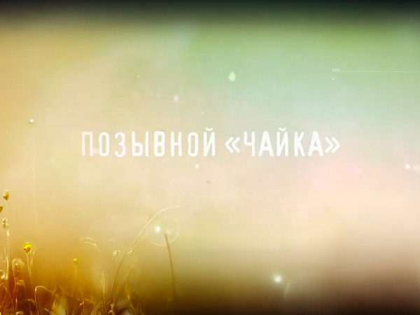 Позывной Чайка