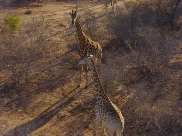 Африка с высоты птичьего полёта (2)