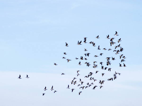 Количество имеет значение