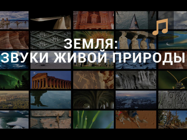 Земля: звуки живой природы