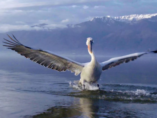 Скрытые чудеса Европы