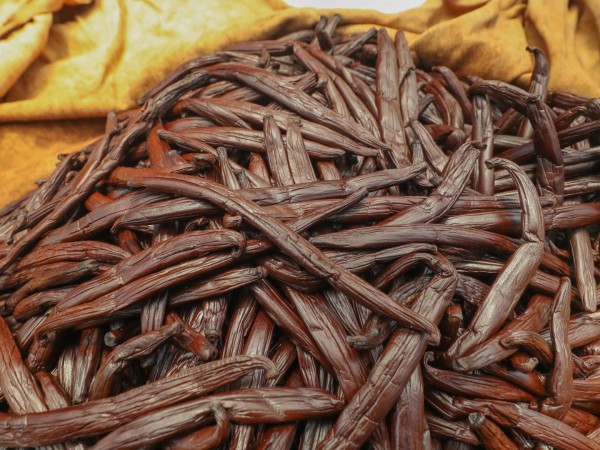 Искусство выращивать ваниль