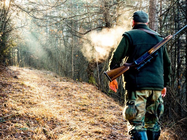 Территория