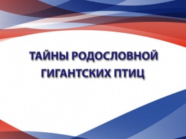 Тайны родословной гигантских птиц