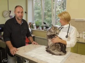 Домашние животные с Григорием Манёвым