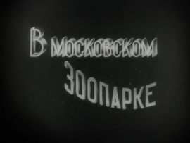 В Московском зоопарке