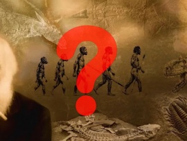 Что спрятал от людей Дарвин? Об этом не расскажут в школе!