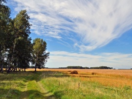 Pодные просторы