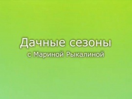 Дачные сезоны