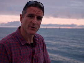 Подводный мир: жизнь на рифе