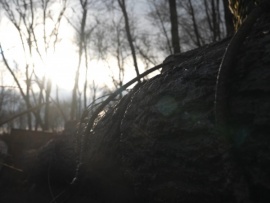 Общими молитвами