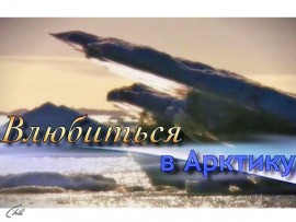 Влюбиться в Арктику