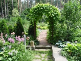 Идеальный сад