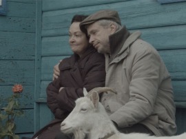 Сила сердца