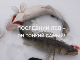 Последний лед - он тонкий самый