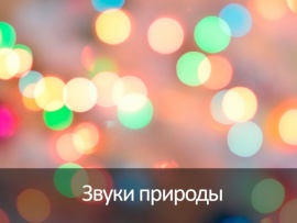 Звуки природы