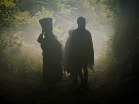 Сканируя прошлое