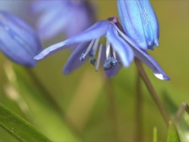 Меня приводит в движение свет
