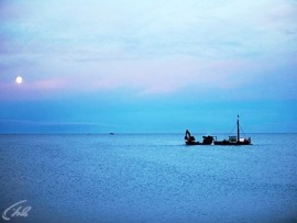 Золотая лихорадка: Берингово море