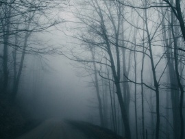 Тайны во тьме