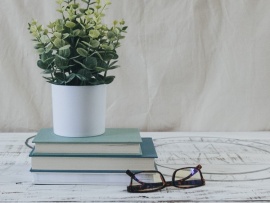 Маленькие озорники. Хроники детского сада бабули