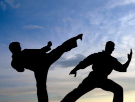 Карате киокусинкай. RCC KYOKUSHIN FIGHT 4