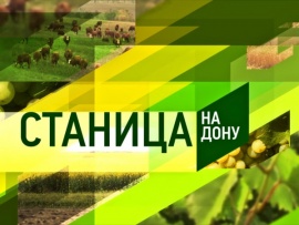 Станица-на-Дону (2)