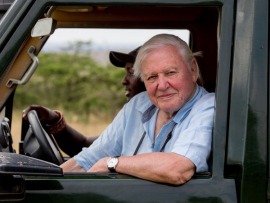 Тайны сингапурских лесов с Дэвидом Аттенборо