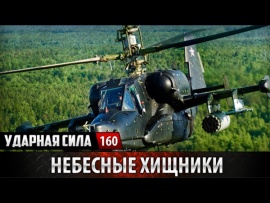 Небесные хищники