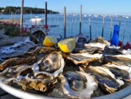 Устричный клан