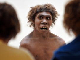 Хомо сапиенс. Новые версии происхождения