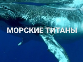 Морские титаны: обитатели глубин