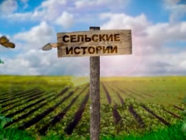 Сельские истории