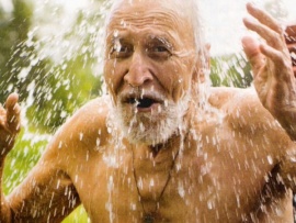 Шесть мангустов, семь кобр и один полускорпион. К 85-летию Николая Дроздова