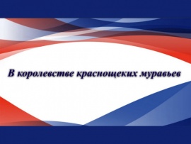 В королевстве краснощеких муравьев