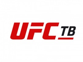 UFC 219
