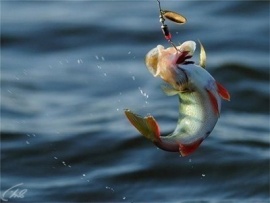 Диалоги. Народный проект