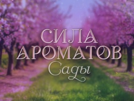 Сила ароматов. Сады