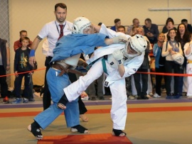 Кудо. Чемпионат Москвы (2)