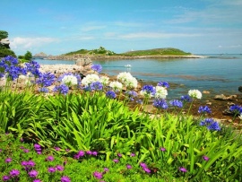 Острова Королевы