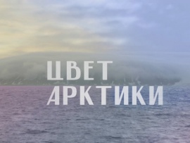 Цвет Арктики
