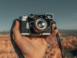 Политика жизни