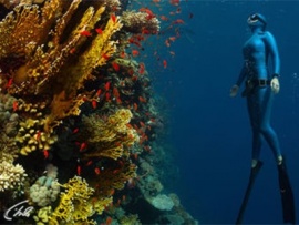 Человек, который может не дышать (2)