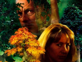 Святая невинность