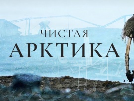 Чистая Арктика