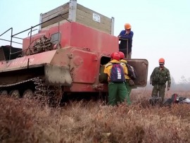 Лесной спецназ